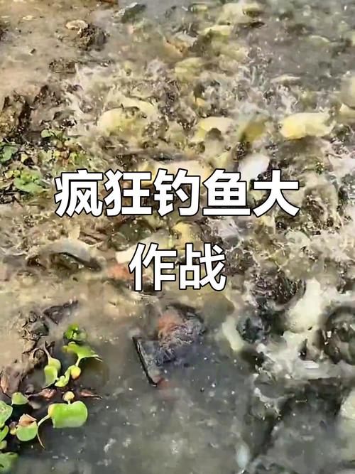 保护区里的疯狂垂钓,保护区里的疯狂垂钓是什么